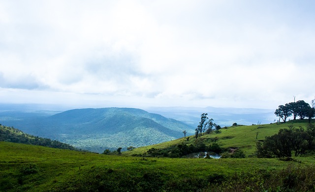 他们拥有字 他们拥有字