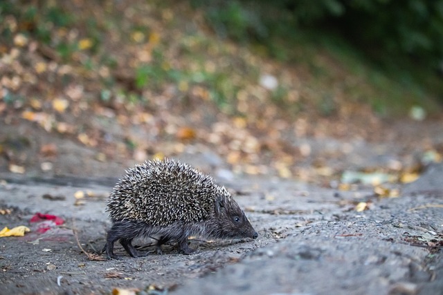 着出色的个 着出色的个