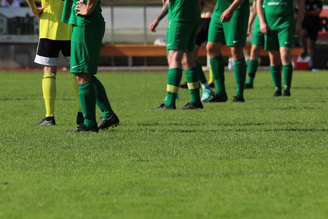 和培养的球 和培养的球